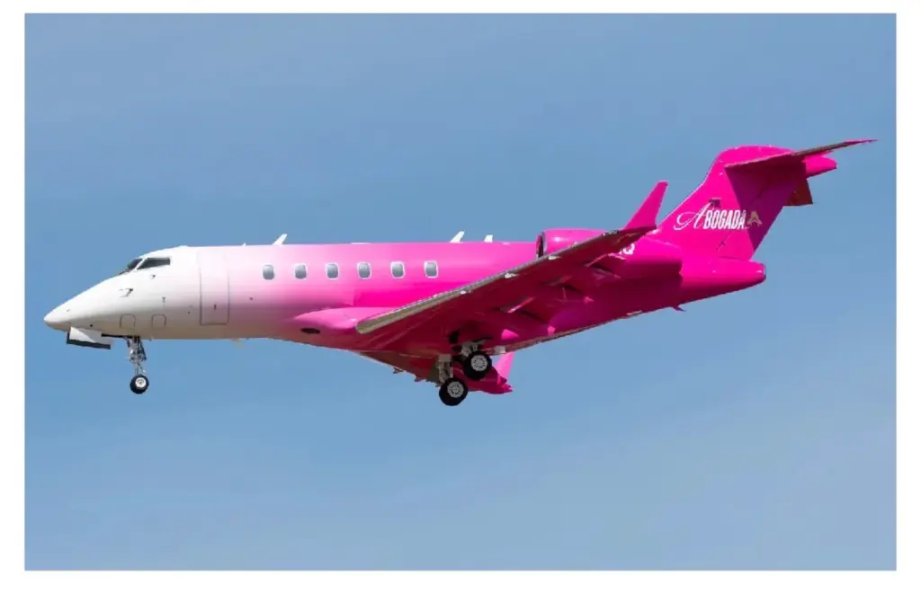 Private plane acquired by lawyer Alexandra Lozano, according to a class-action lawsuit.