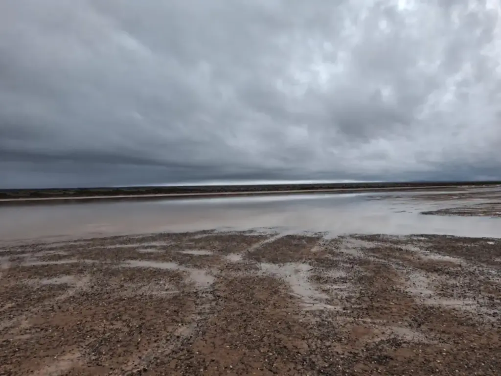 A driver damages Pampa del Leoncito, a natural jewel of northern Argentina