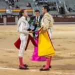 A bull of triumph vanished in the confirmation of Antonio Puerta in Madrid