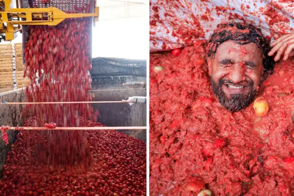 Vídeo en directo | Buñol celebra la Tomatina 2026 con el lanzamiento de más de 150 toneladas de tomates