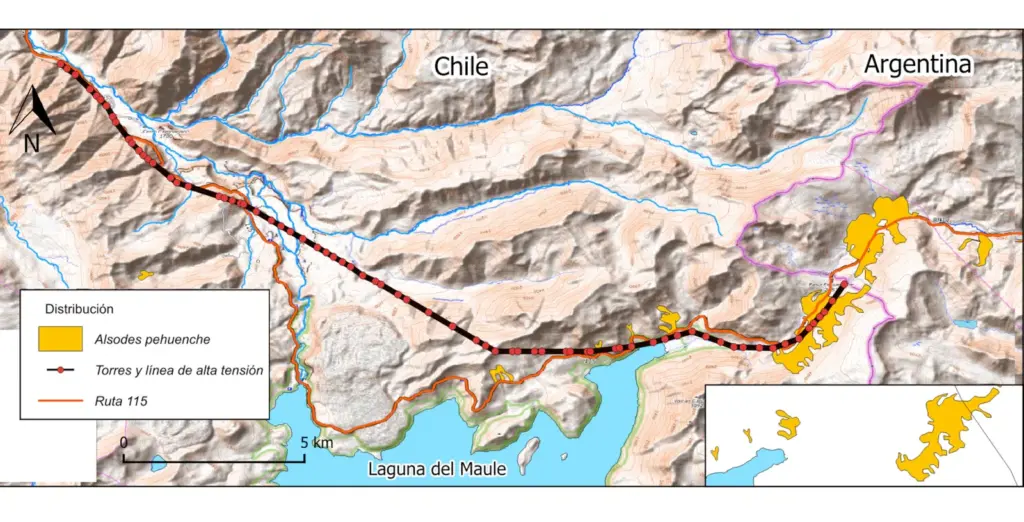 The Chilean frog defended by Leonardo DiCaprio that faces an electric project