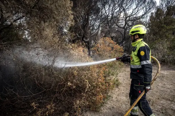 Several aerial units and firefighter crews are tackling a fire in the Devesa de El Saler, in Valencia