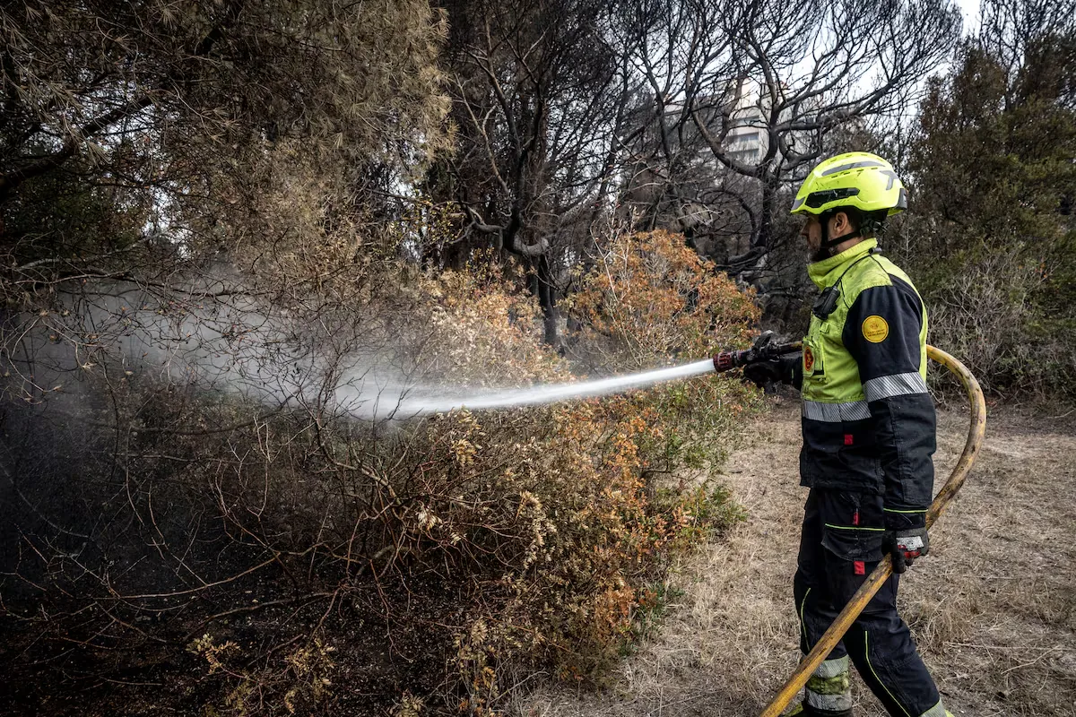 Several aerial units and firefighter crews are tackling a fire in the Devesa de El Saler, in Valencia