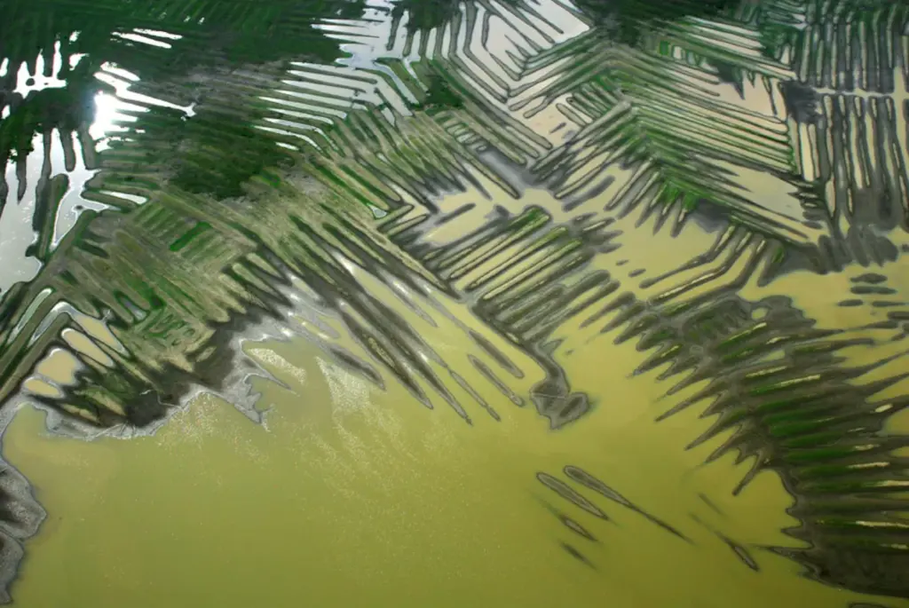 A millenary hydraulic work, the footprint of a pre-Hispanic civilization that tamed water without kings or chiefs