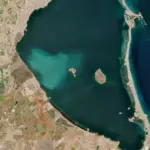 The white spot in the Mar Menor devastates seven kilometers of vegetation and decimates fish populations: from 21 species to only three