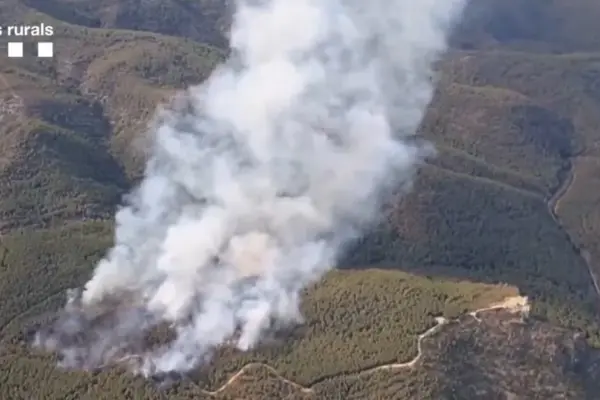 Arrested the alleged perpetrator of the forest fire in Castellví de la Marca (Barcelona)