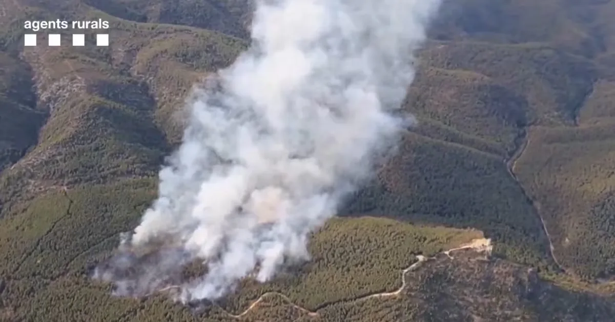 A fire in Castellví de la Marca (Barcelona) forces the confinement of four residential areas
