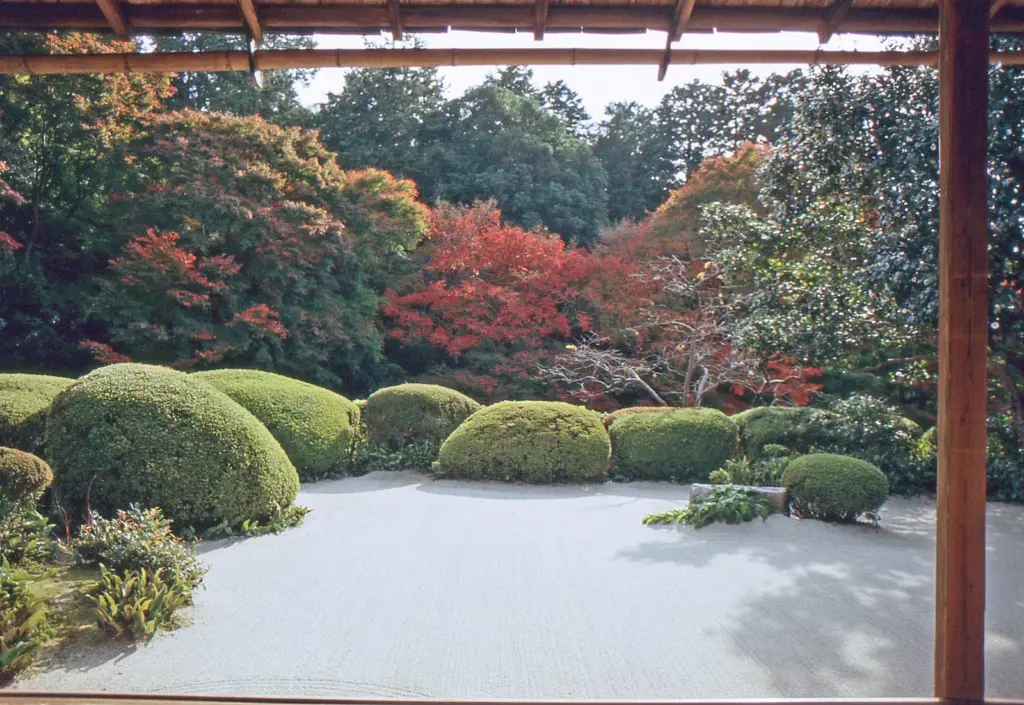 The Japanese garden: a microcosm that summarizes the world