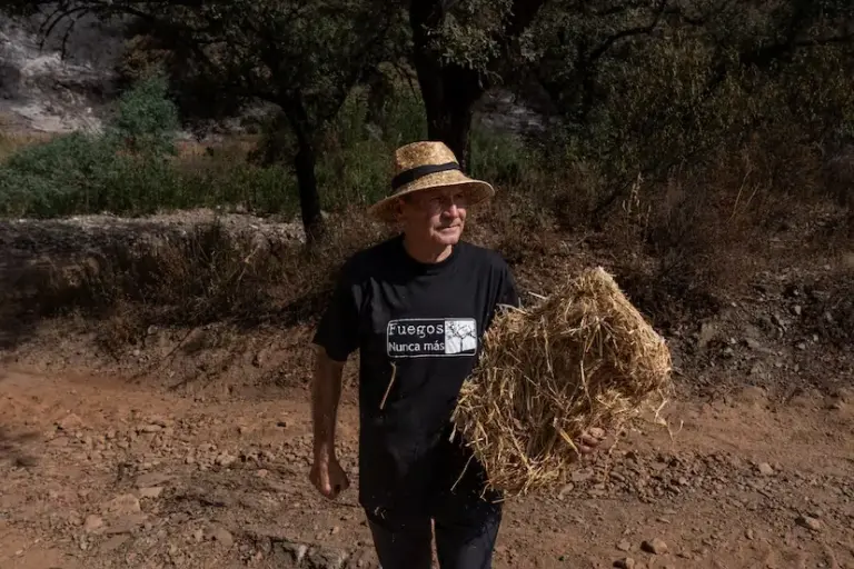 Berrocal was saved for the fifth time from the flames with 12 neighbors hiding to defend the town: “The fire stayed 50 meters away”
