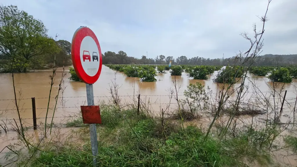 Storms, fire, and drought: the Spanish countryside tries to endure after eight months of climatic suffocation
