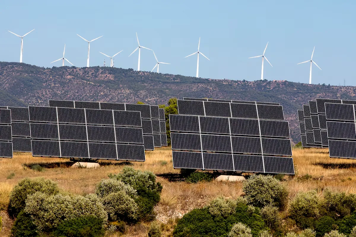 Rebellion against Plater: the Govern's renewable energy plan clashes with 1,300 municipal objections