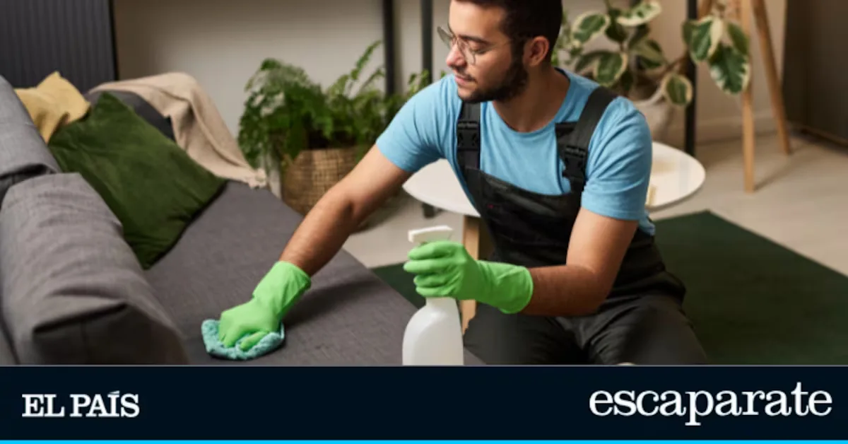 The enzymatic cleaner in spray format that eliminates stains and bad odors at home