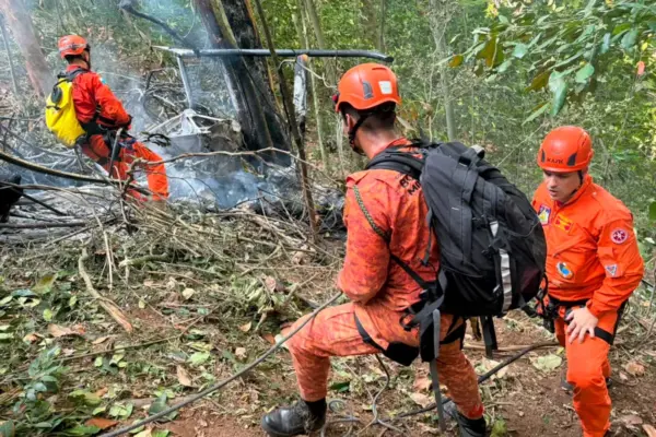 Cuatros muertos al estrellarse un helicóptero en la selva de Río de Janeiro