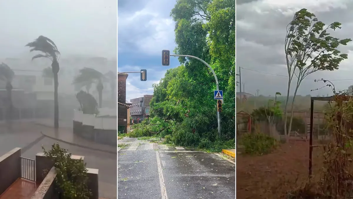Several bursts with winds of about 150 kilometers cause material damage in the province of Valencia