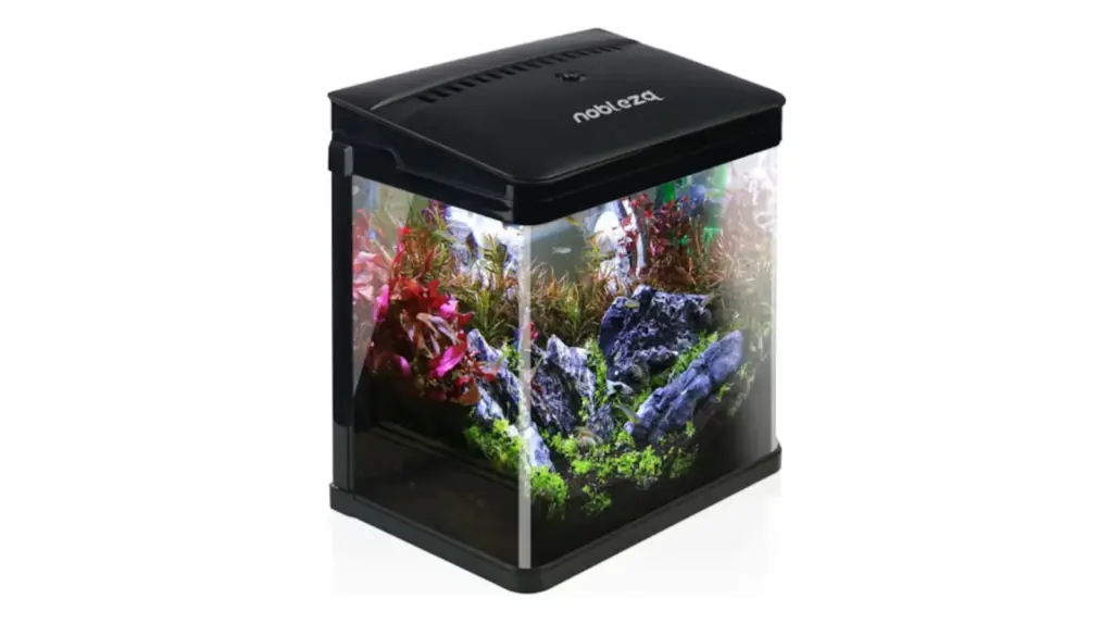 We tested the best aquariums for beginners and this is the winner.