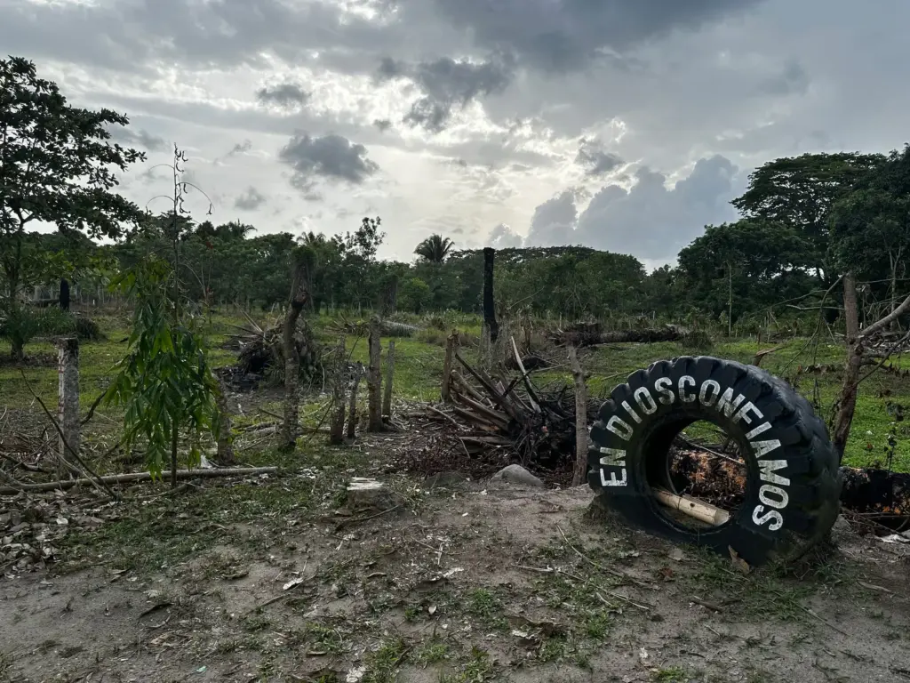 The resistance of the Garifunas to preserve their territory: “They will not take us out of our paradise”
