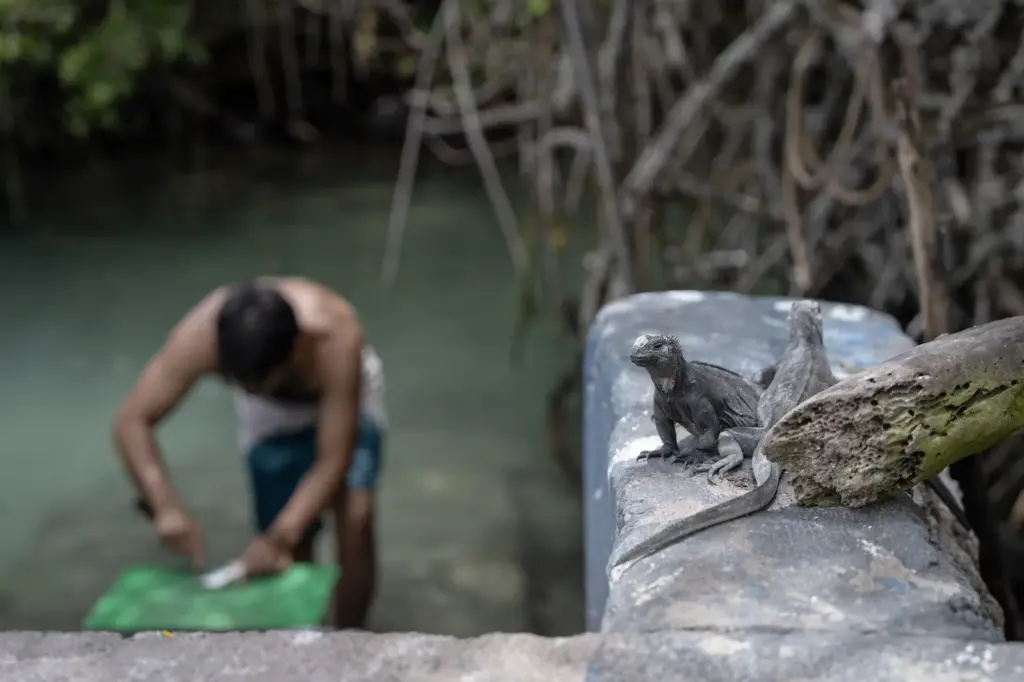 Galápagos, the paradise under criminal siege