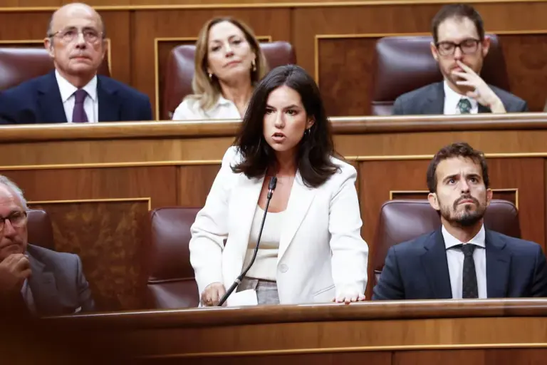 The Vox spokesperson in Congress, Pepa Millán, this Wednesday during the government control session.
