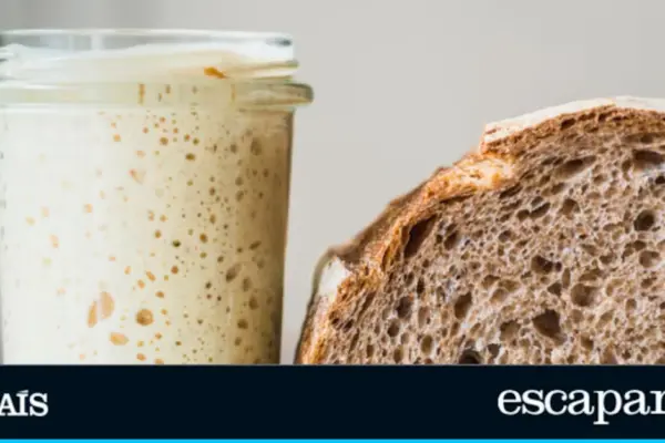 Making sourdough at home is no longer a hassle: the graduated glass set designed for beginners