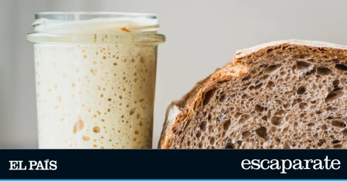 Making sourdough at home is no longer a hassle: the graduated glass set designed for beginners
