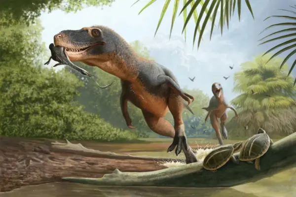 A feather trapped in dinosaur dung gives new clues about the extinction of primitive birds