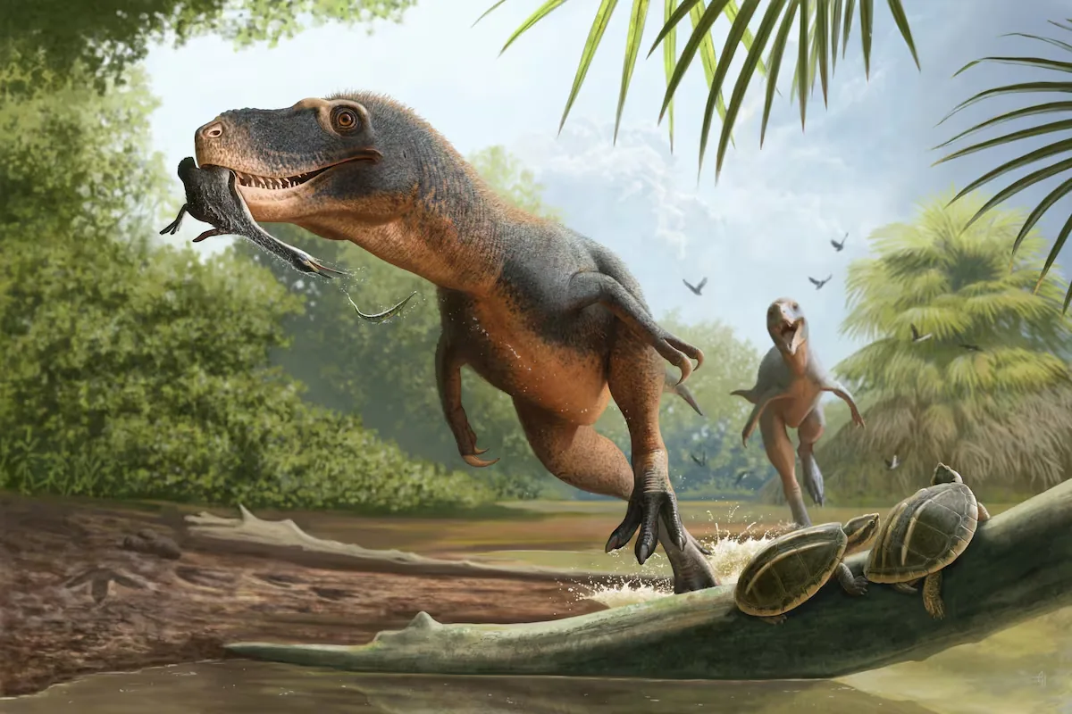 A feather trapped in dinosaur dung gives new clues about the extinction of primitive birds