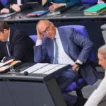 Merz accuses the far right of wanting to carry out "an ethnic cleansing" in Germany