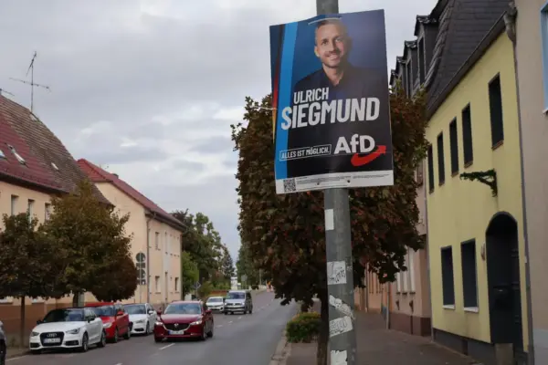 In this town, AfD won its first mayor in Germany and has been growing ever since