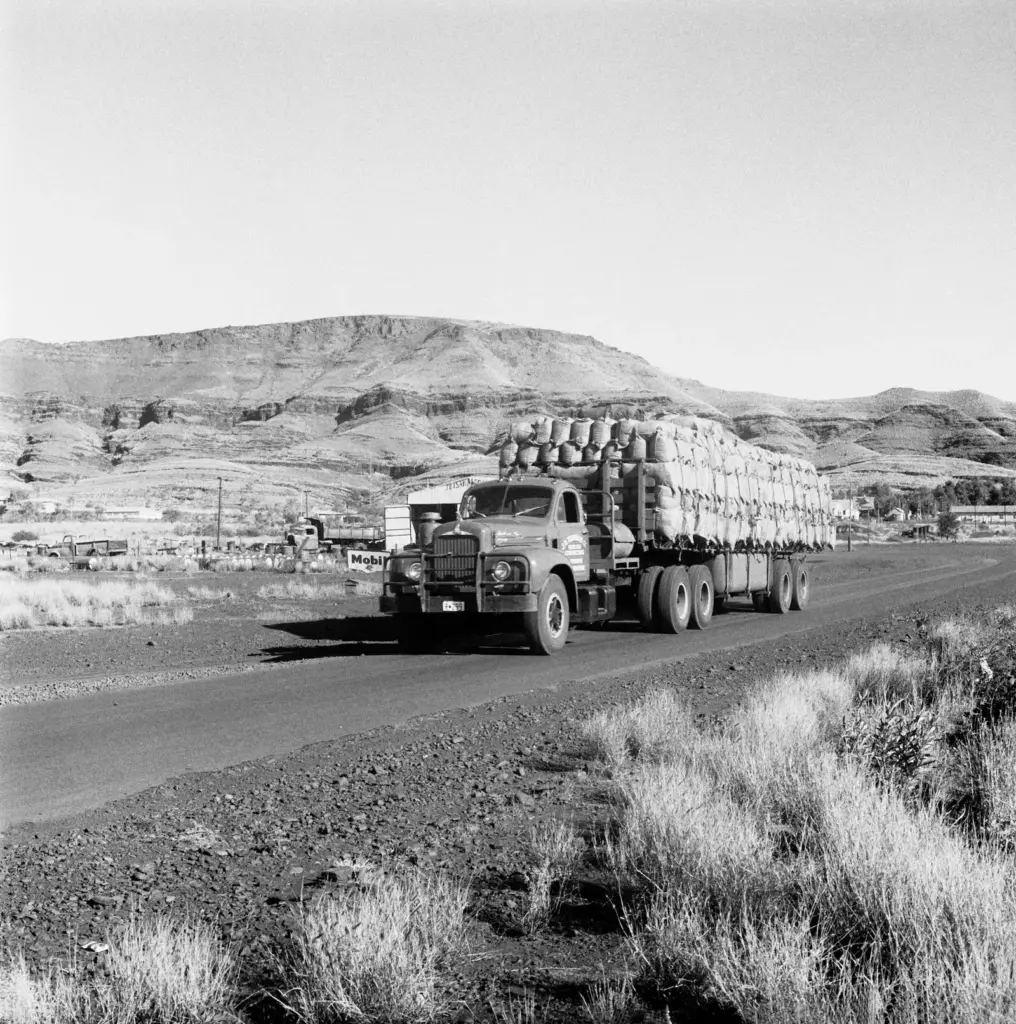 Wittenoom: Spaniards in the Australian 'Chernobyl'