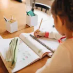 School Achievement Bonus 2026 in Chile: requirements, amounts, and how to check with the RUT if applicable