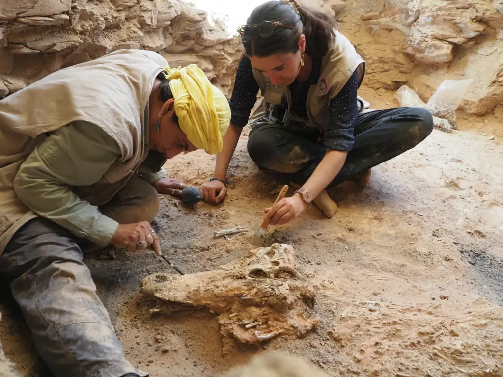 Egyptologists' conclave in Barcelona: an exciting immersion in tombs, temples, mummies, and crocodiles