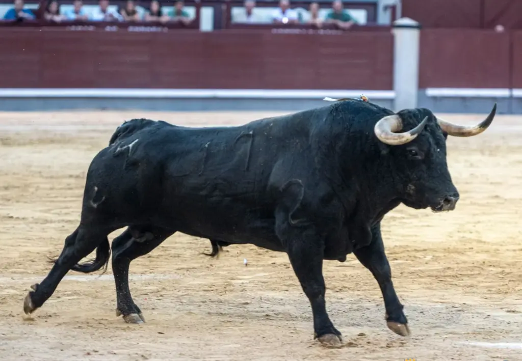 Summer in Las Ventas, clearance posters, the bluff of the season…