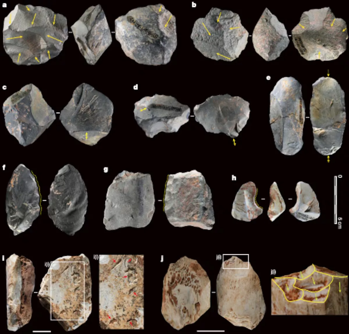 The new enigma of the most mysterious human ancestors: 120,000 years without ever improving their tools