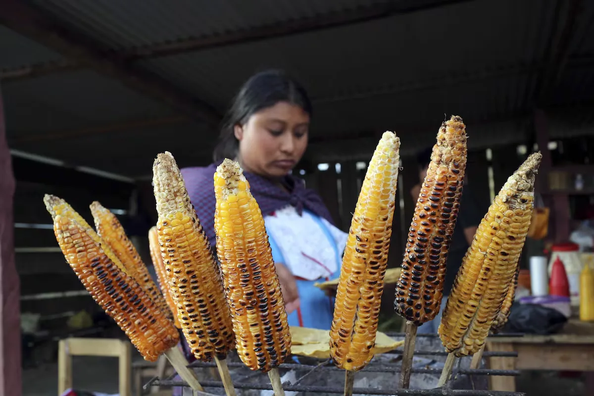 Shouts against governors during the Grito: the tradition that turned the ear of corn into a protest weapon