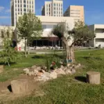 The Spanish woman murdered in Mexico was from the Canary Islands and was studying Early Childhood Education at the University of Granada