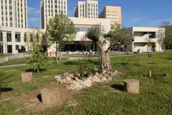 The Spanish woman murdered in Mexico was from the Canary Islands and was studying Early Childhood Education at the University of Granada