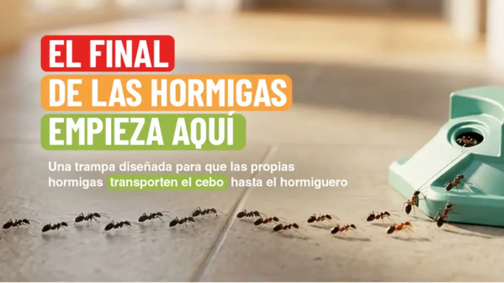 Trampa con hasta cuatro semanas de protección.