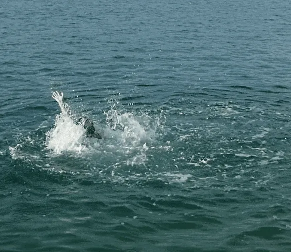 The summer with the most drownings on record: how to recognize someone in danger?
