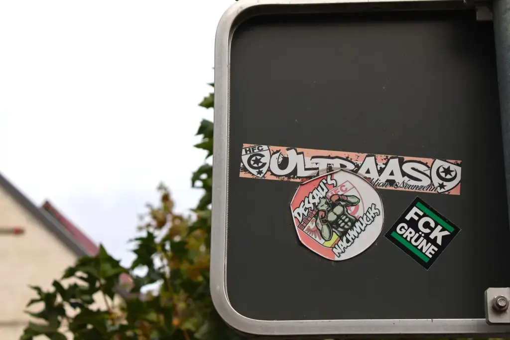In this town, AfD won its first mayor in Germany and has been growing ever since