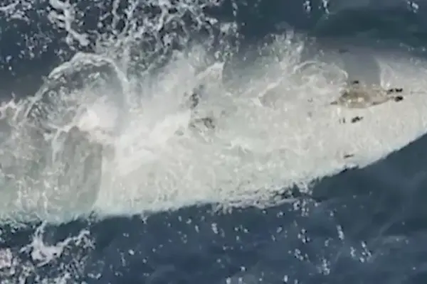 Irán difunde imágenes de un supuesto dron submarino de EE UU interceptado por su ejército