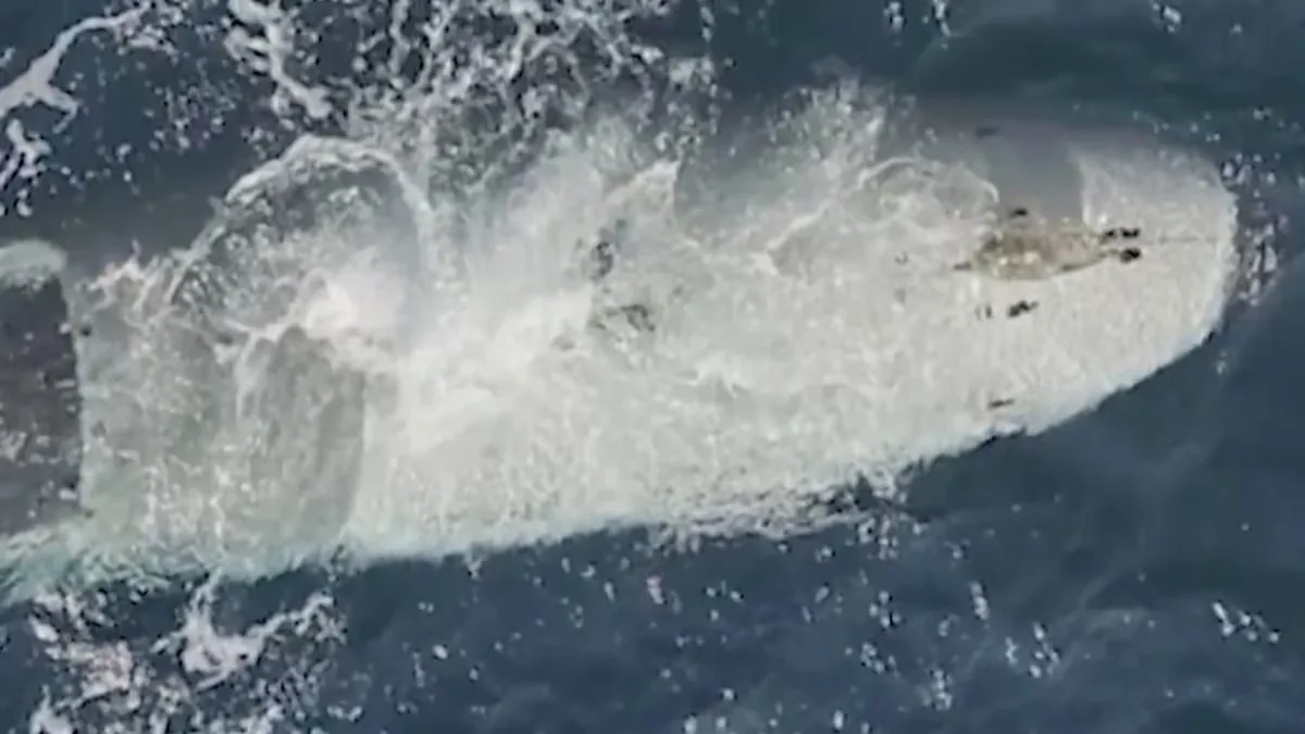 Irán difunde imágenes de un supuesto dron submarino de EE UU interceptado por su ejército