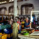 The intellectual generosity of Antoni Pizà, a great man from Mallorca