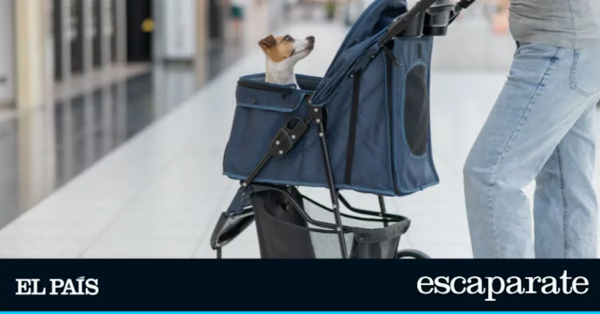 The 5 dog strollers that are a hit on Amazon: foldable, durable, and for different sizes