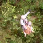 The rescuers arrive at the wreckage of the plane crashed in Chocó, but they do not find its occupants