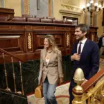 Work progresses on the law to regulate the reuse of artists' voice or image through AI
