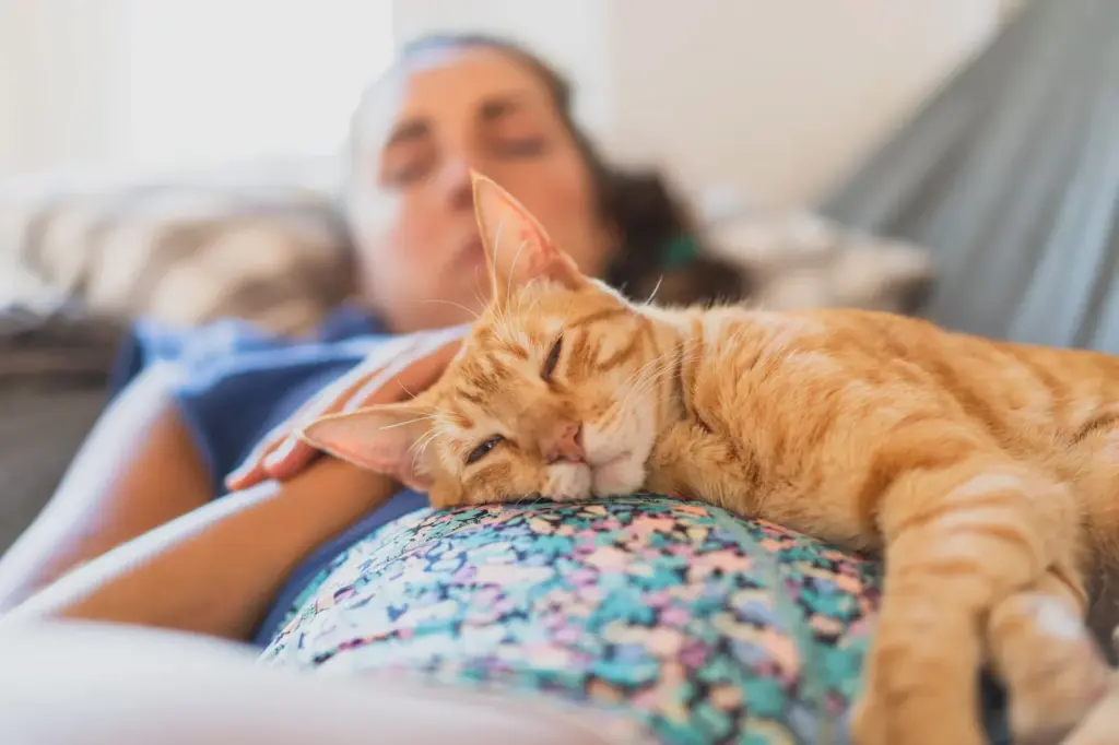 Benefits and risks of sleeping with your pet: from the feeling of security to the loss of sleep quality