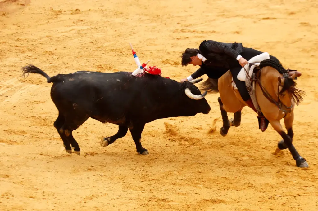Ronda reunited with a Goyesca bullfight empty of content