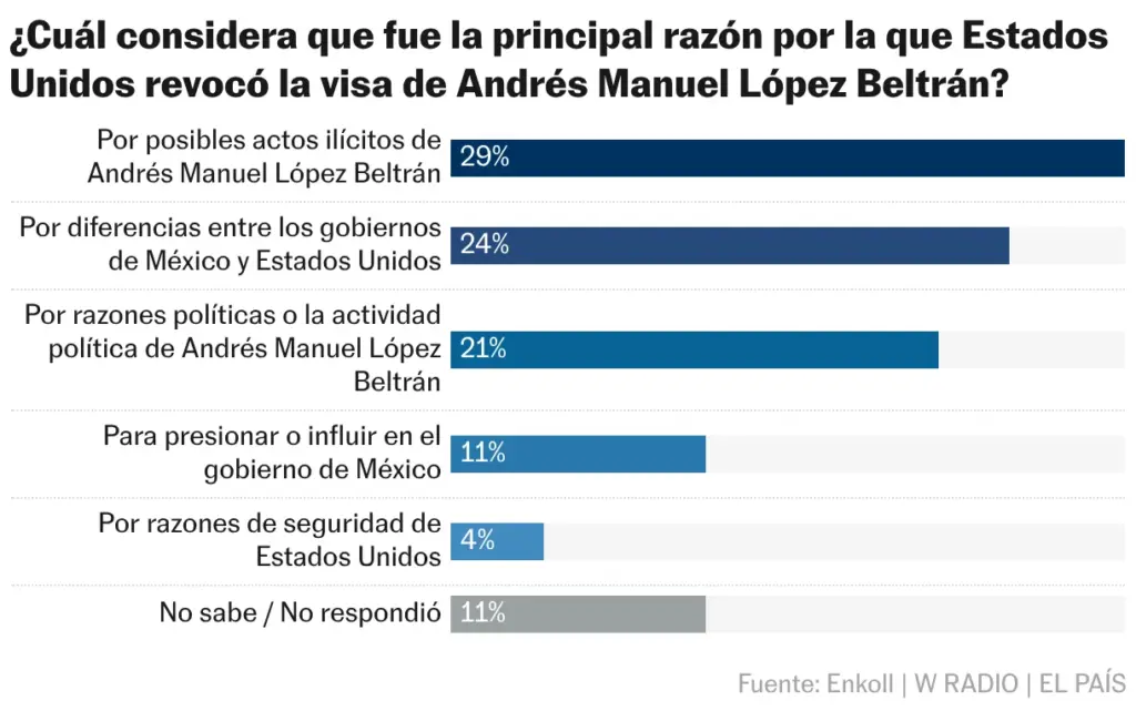 What do you consider the main reason why the United States revoked Andrés Manuel López Beltrán's visa? (Bar chart)
