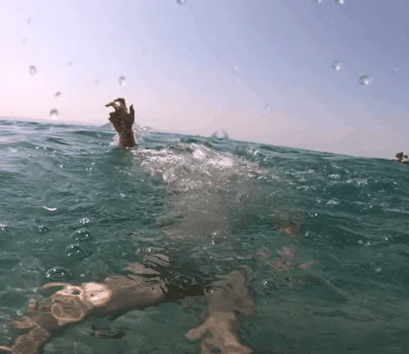 The summer with the most drownings on record: how to recognize someone in danger?