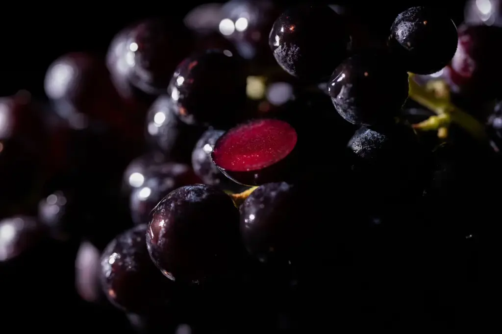 This is how Murcia became a world power in grape patents: "Only California surpasses us"